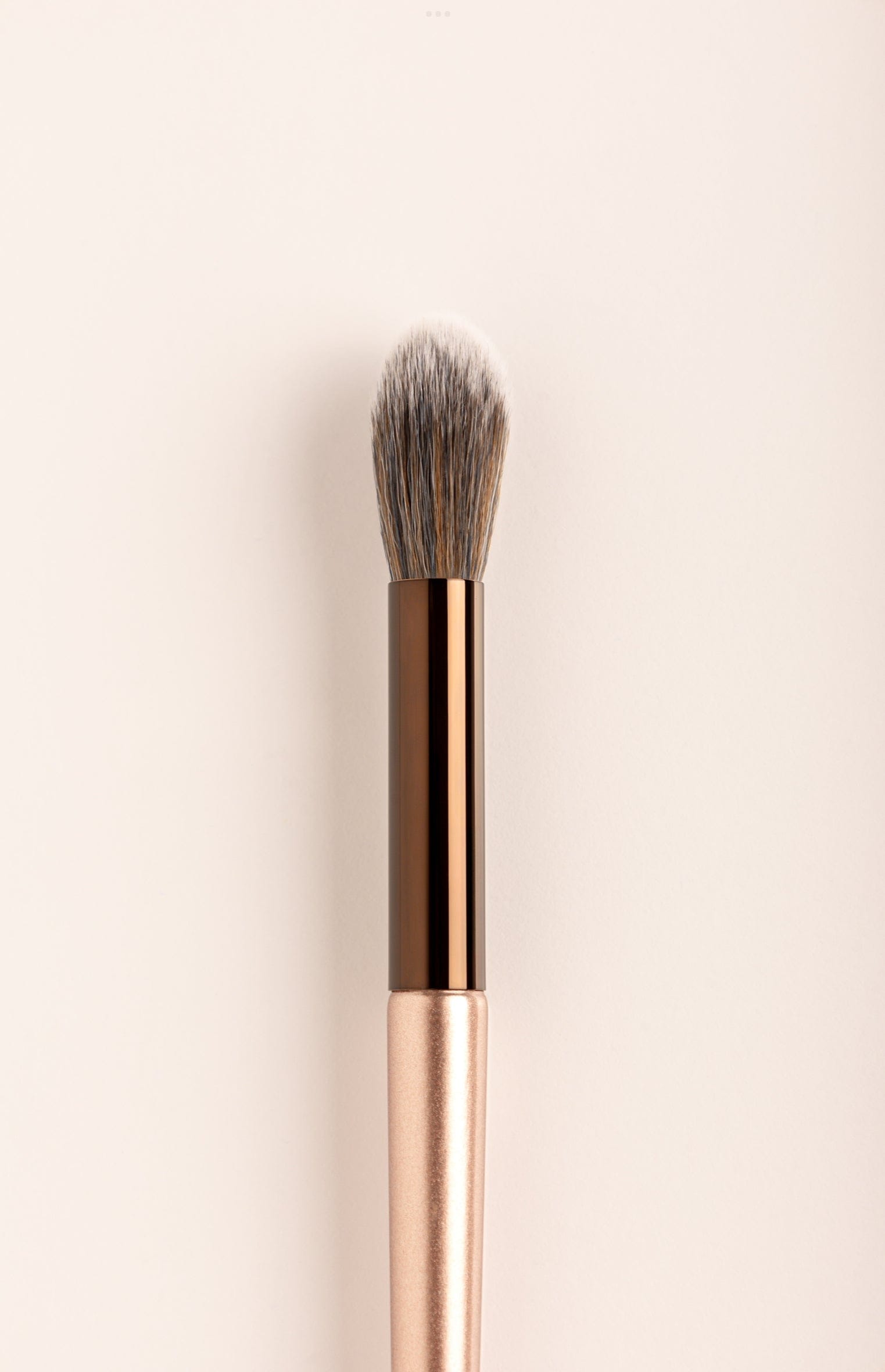 Oval Highlighter/Powder Brush 09